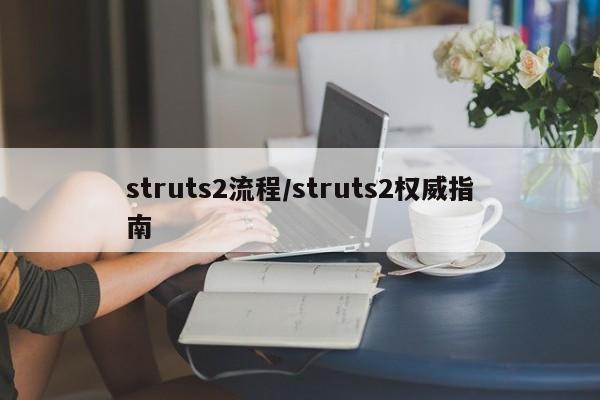 struts2流程/struts2权威指南