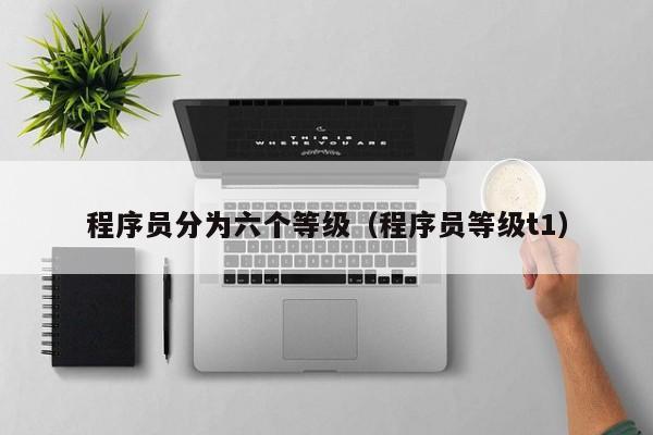 程序员分为六个等级(程序员等级t1)