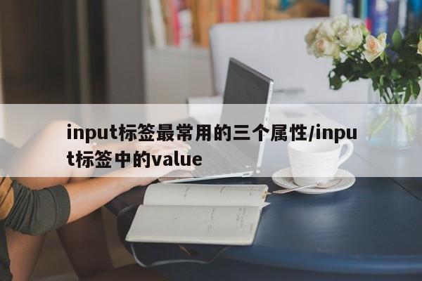 input标签最常用的三个属性/input标签中的value