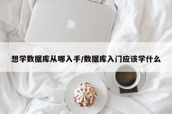 想学数据库从哪入手/数据库入门应该学什么