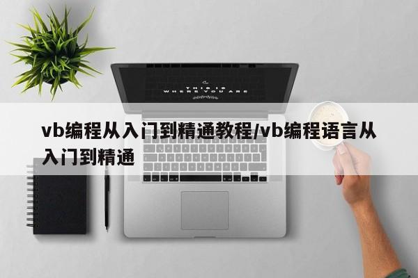 vb编程从入门到精通教程/vb编程语言从入门到精通