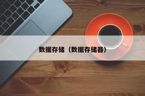 数据存储(数据存储器)