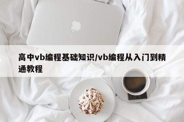 高中vb编程基础知识/vb编程从入门到精通教程