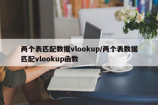 两个表匹配数据vlookup/两个表数据匹配vlookup函数