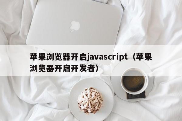 苹果浏览器开启javascript(苹果浏览器开启开发者)