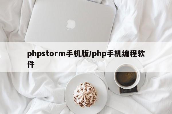 phpstorm手机版/php手机编程软件