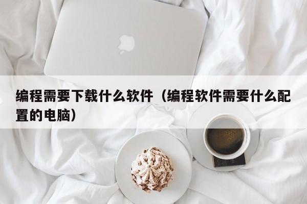 编程需要下载什么软件(编程软件需要什么配置的电脑)