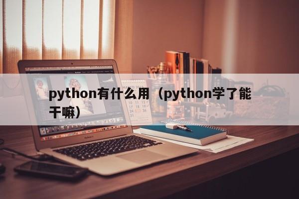 python有什么用(python学了能干嘛)