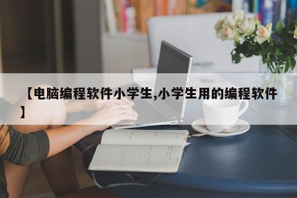 【电脑编程软件小学生,小学生用的编程软件】