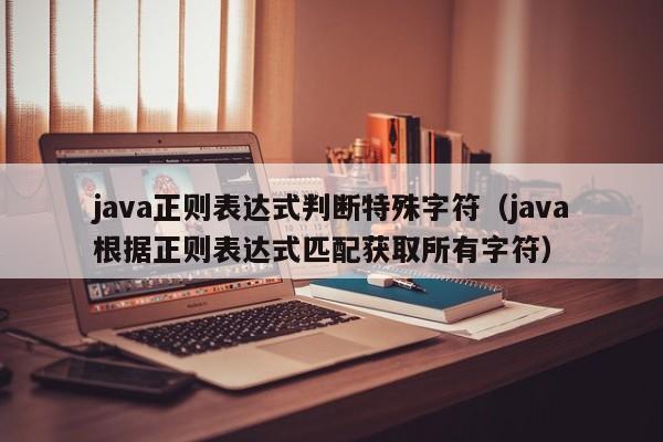 java正则表达式判断特殊字符(java根据正则表达式匹配获取所有字符)