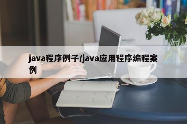java程序例子/java应用程序编程案例