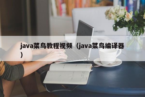 java菜鸟教程视频(java菜鸟编译器)