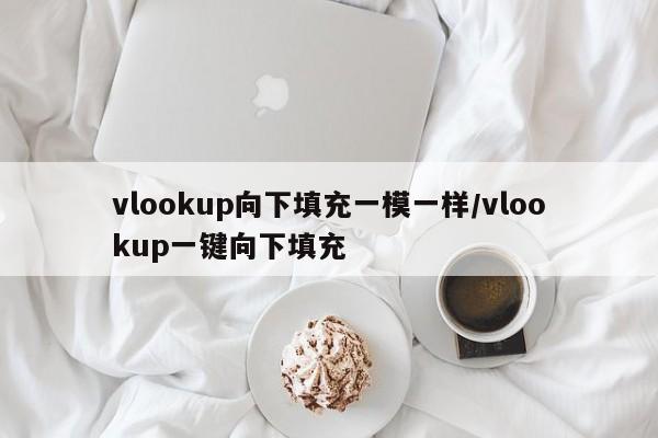 vlookup向下填充一模一样/vlookup一键向下填充