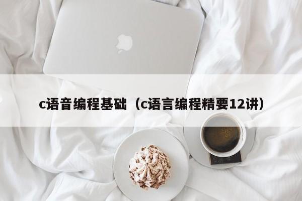 c语音编程基础(c语言编程精要12讲)