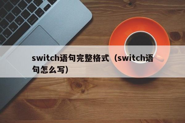 switch语句完整格式(switch语句怎么写)