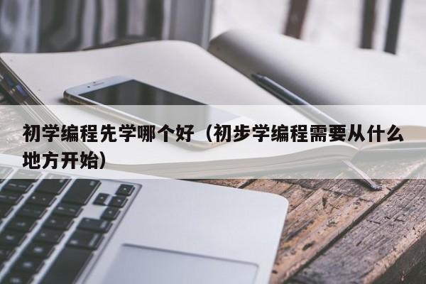 初学编程先学哪个好(初步学编程需要从什么地方开始)