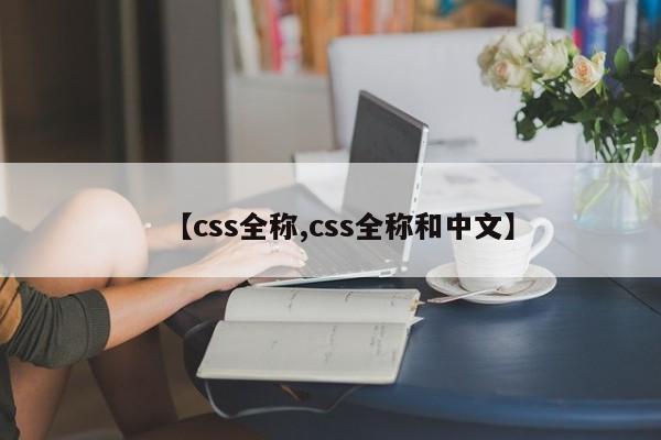 【css全称,css全称和中文】