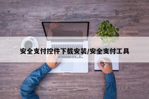 安全支付控件下载安装/安全支付工具