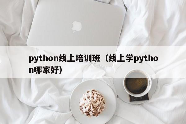 python线上培训班(线上学python哪家好)