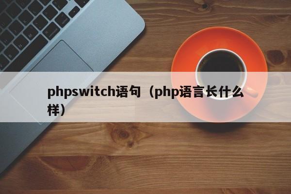 phpswitch语句(php语言长什么样)