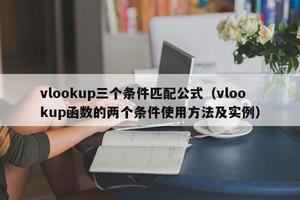 vlookup三个条件匹配公式(vlookup函数的两个条件使用方法及实例)