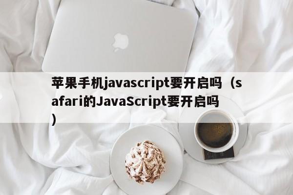 苹果手机javascript要开启吗(safari的JavaScript要开启吗)