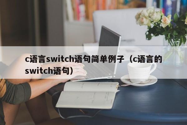 c语言switch语句简单例子(c语言的switch语句)