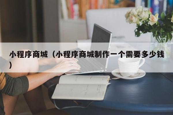 小程序商城(小程序商城制作一个需要多少钱)