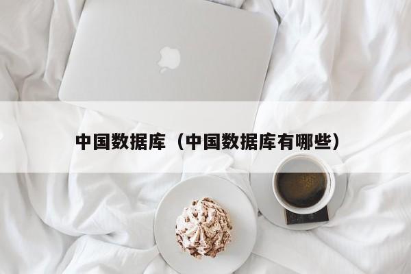 中国数据库(中国数据库有哪些)