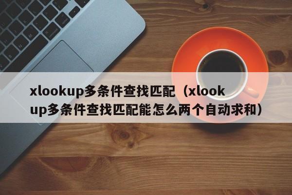xlookup多条件查找匹配(xlookup多条件查找匹配能怎么两个自动求和)