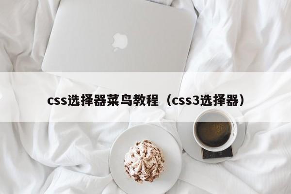 css选择器菜鸟教程(css3选择器)