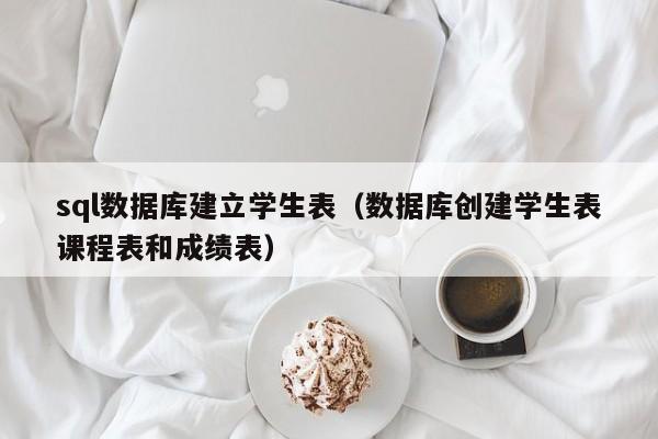 sql数据库建立学生表(数据库创建学生表课程表和成绩表)