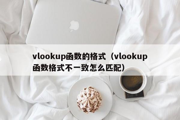 vlookup函数的格式(vlookup函数格式不一致怎么匹配)
