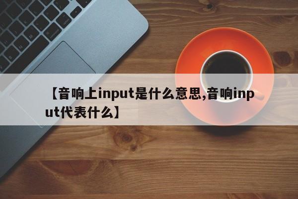 【音响上input是什么意思,音响input代表什么】