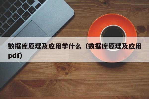 数据库原理及应用学什么(数据库原理及应用pdf)