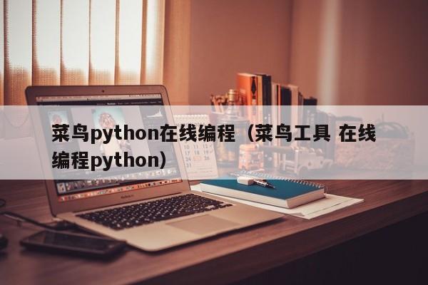 菜鸟python在线编程(菜鸟工具 在线编程python)