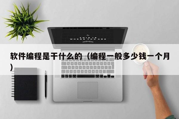 软件编程是干什么的(编程一般多少钱一个月)