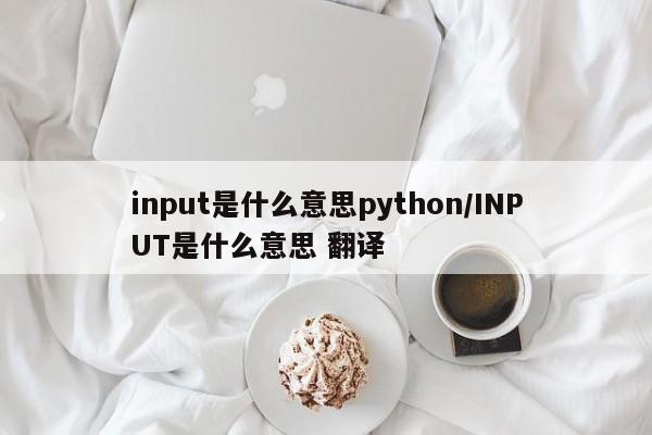 input是什么意思python/INPUT是什么意思 翻译