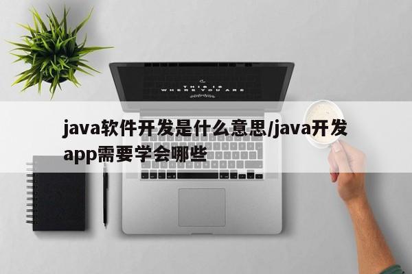 java软件开发是什么意思/java开发app需要学会哪些