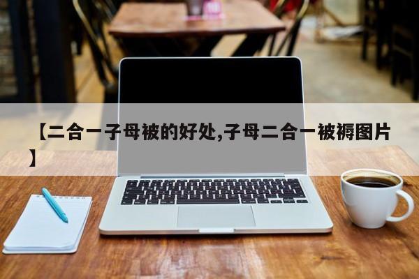 【二合一子母被的好处,子母二合一被褥图片】