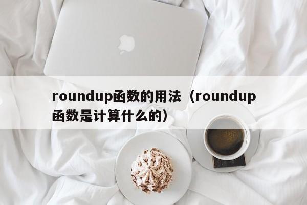 roundup函数的用法(roundup函数是计算什么的)