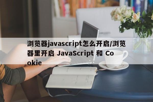 浏览器javascript怎么开启/浏览器里开启 JavaScript 和 Cookie