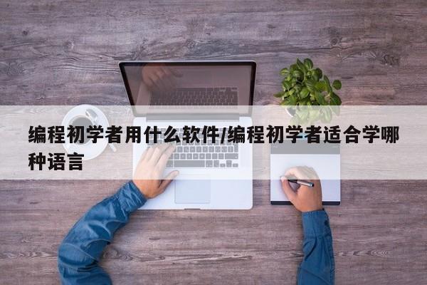 编程初学者用什么软件/编程初学者适合学哪种语言