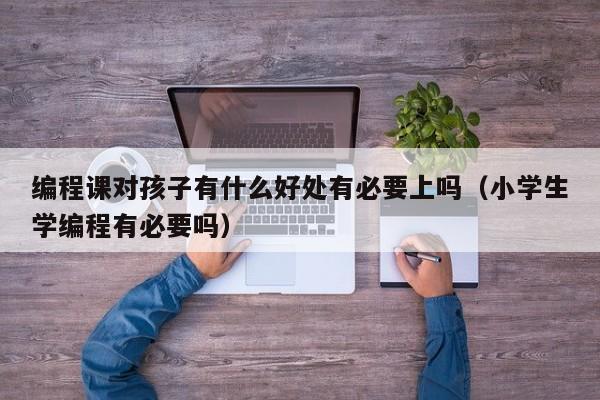 编程课对孩子有什么好处有必要上吗(小学生学编程有必要吗)