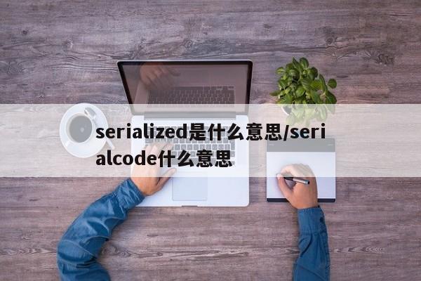 serialized是什么意思/serialcode什么意思