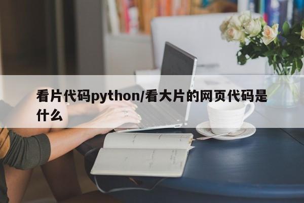 看片代码python/看大片的网页代码是什么