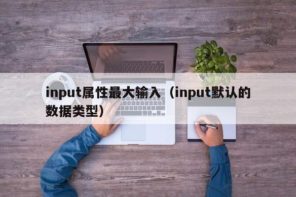 input属性最大输入(input默认的数据类型)