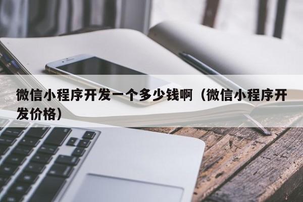 微信小程序开发一个多少钱啊(微信小程序开发价格)