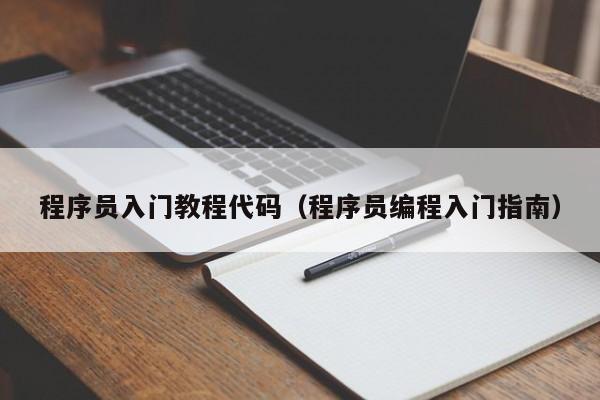 程序员入门教程代码(程序员编程入门指南)