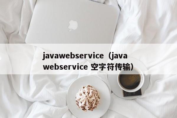 javawebservice(java webservice 空字符传输)